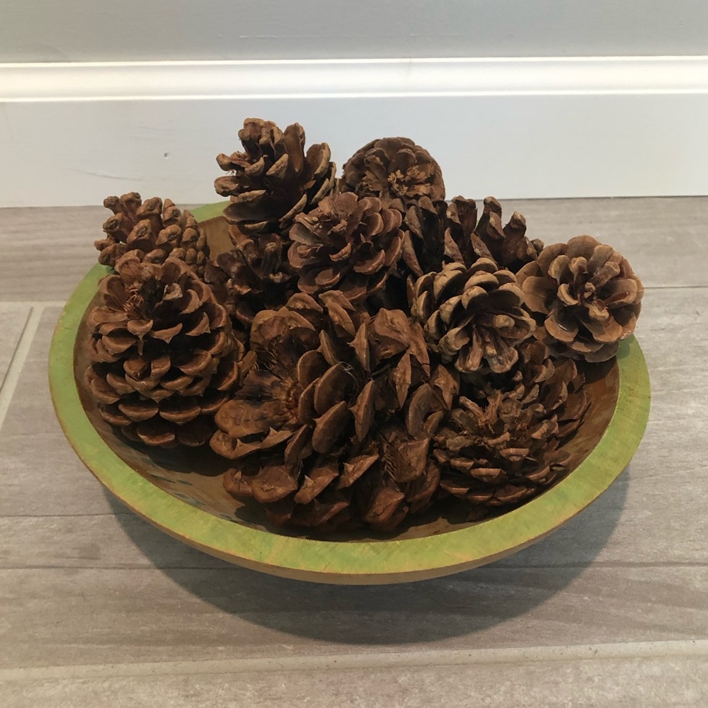 Pine Cone Bundle